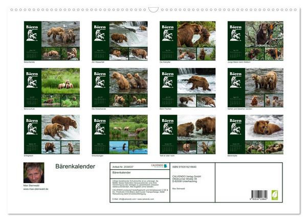 Produktbild: B&auml;renkalender (Wandkalender 2026 DIN A2 quer), CALVENDO Monatskalender