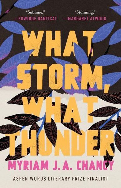 Produktbild: What Storm, What Thunder