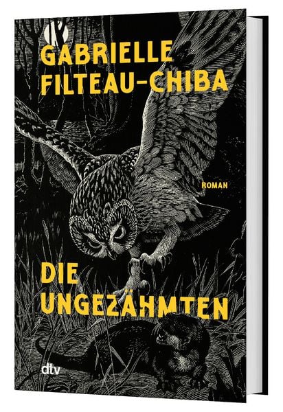Produktbild: Die Ungez&auml;hmten