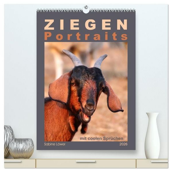 Produktbild: Ziegenportraits (hochwertiger Premium Wandkalender 2026 DIN A2 hoch), Kunstdruck in Hochglanz