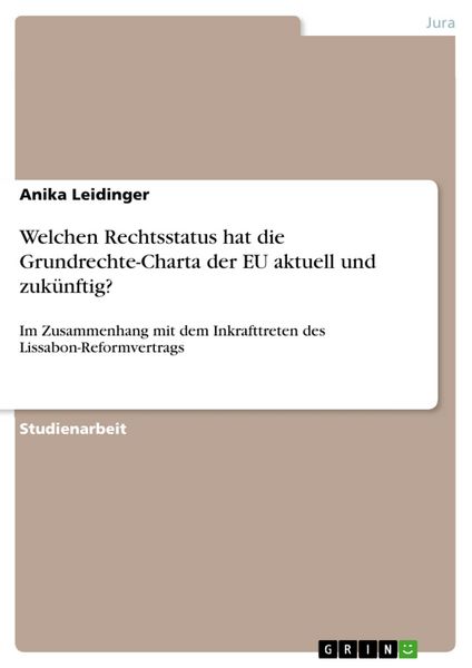 Produktbild: Welchen Rechtsstatus hat die Grundrechte-Charta der EU aktuell und zuk&uuml;nftig?