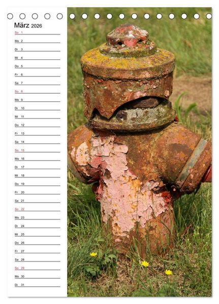 Produktbild: Nostalgie Hydranten (Tischkalender 2026 DIN A5 hoch), CALVENDO Monatskalender
