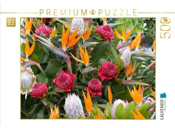 CALVENDO Puzzle Paradiesvogelblumen - Zuckerbüsche (Protea) | 500 Teile Lege-Größe 48 × 36 cm Foto-Puzzle für Erwachsene
