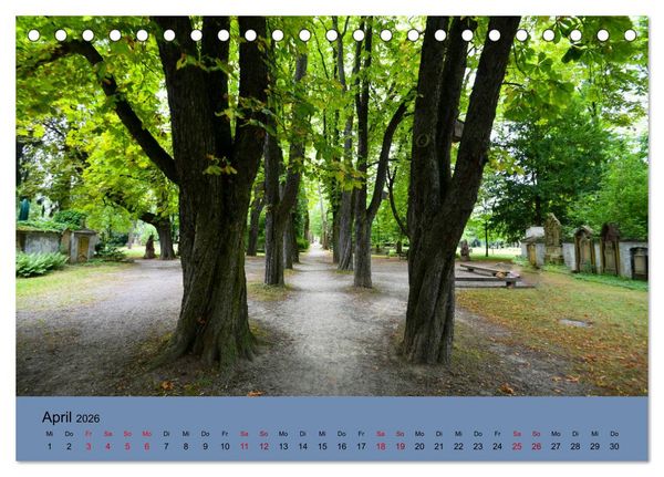 Produktbild: Wundervolles Freiburg (Tischkalender 2026 DIN A5 quer), CALVENDO Monatskalender