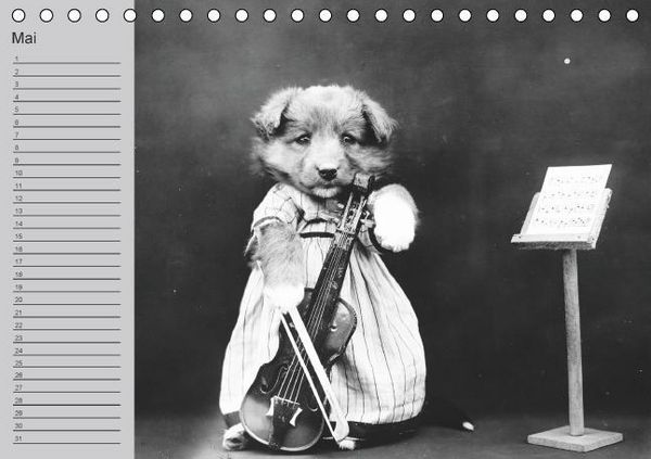 Produktbild: Katzen und Hunde - Nostalgie auf Pfoten (Tischkalender immerw&auml;hrend DIN A5 quer)