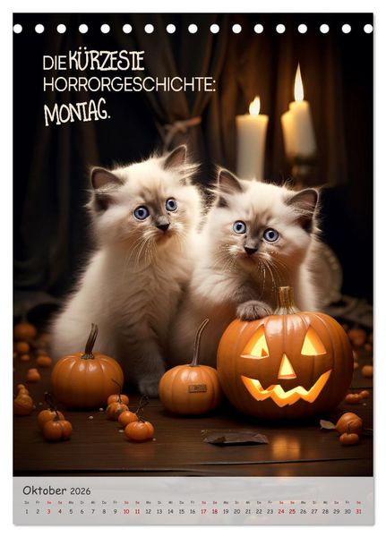 Produktbild: COOLE KATZEN Spr&uuml;cheklopfer (Tischkalender 2026 DIN A5 hoch), CALVENDO Monatskalender