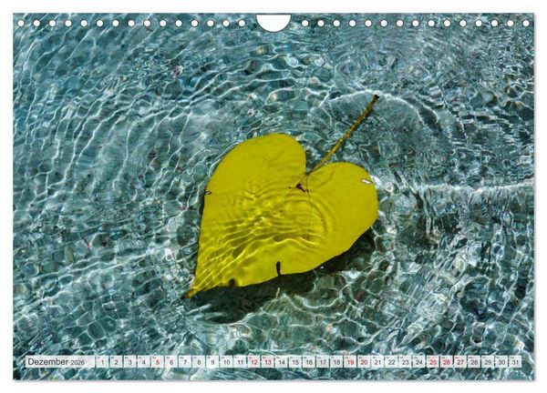 Produktbild: Inseln, Licht und Meer - die Seychellen (Wandkalender 2026 DIN A4 quer), CALVENDO Monatskalender