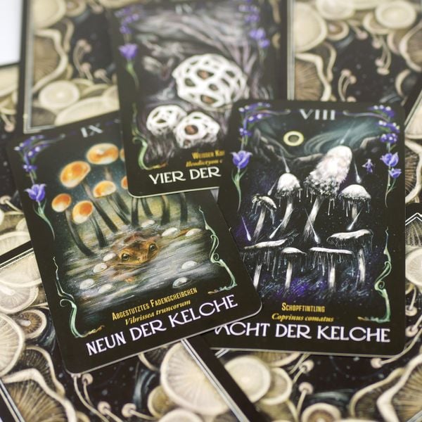 Produktbild: Mitternachtsmagie der Pilze