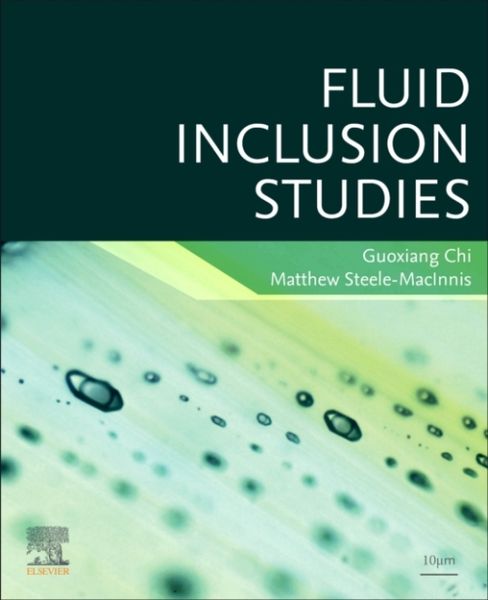 Produktbild: Fluid Inclusion Studies