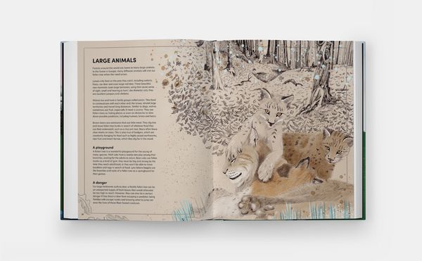 Produktbild: The Tomorrow Tree: How Nature Creates New Life From Old (2025)