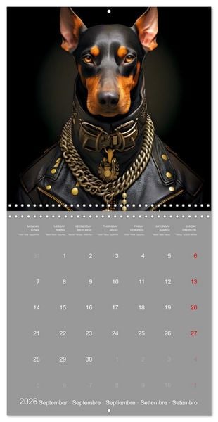Produktbild: If dogs were humans (Wall Calendar 2026 12 &times; 12 Inch) CALVENDO 12 Month Wall Calendar