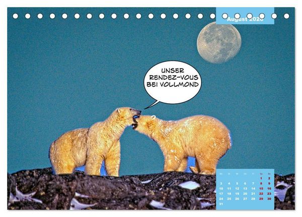 Produktbild: Lustige Eisb&auml;ren (Tischkalender 2026 DIN A5 quer), CALVENDO Monatskalender