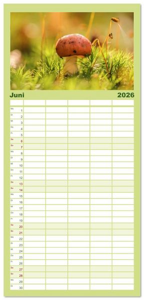 Produktbild: Familienplaner 2026 - Wundersame Pilzwelten mit 5 Spalten (Wandkalender, 21 x 45 cm) CALVENDO