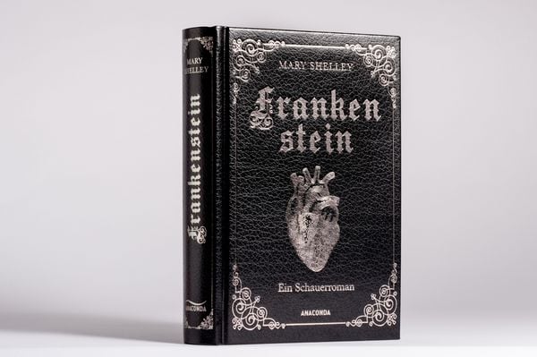 Produktbild: Mary Shelley, Frankenstein. Ein Schauerroman
