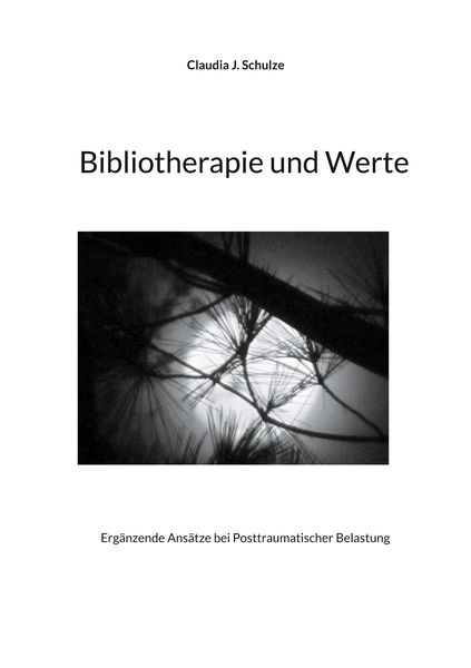 Produktbild: Bibliotherapie und Werte
