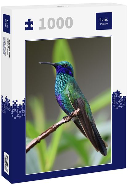 Produktbild: Lais Puzzle Kolibri 1000 Teile