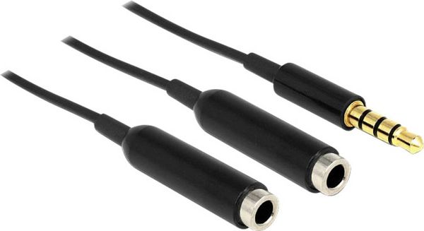 Delock 65575 Klinke Audio Y-Kabel [1x Klinkenstecker 3.5 mm - 2x Klinkenbuchse 3.5 mm] 25.00 cm Schwarz