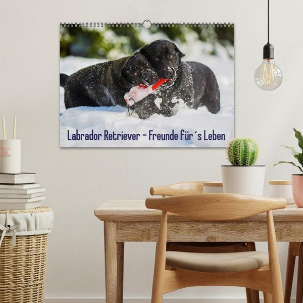 Produktbild: Labrador Retriever - Freunde f&uuml;r&acute;s Leben (Wandkalender 2026 DIN A3 quer), CALVENDO Monatskalender