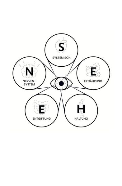 Produktbild: Das S.E.H.E.N. Prinzip.