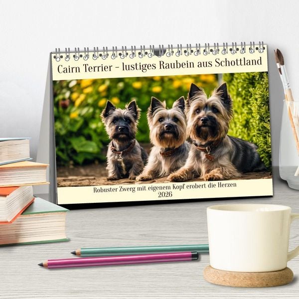 Produktbild: Cairn Terrier - lustiges Raubein aus Schottland (Tischkalender 2026 DIN A5 quer), CALVENDO Monatskalender