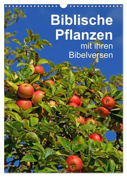 Produktbild: Biblische Pflanzen mit ihren Bibelversen (Wandkalender 2026 DIN A3 hoch), CALVENDO Monatskalender