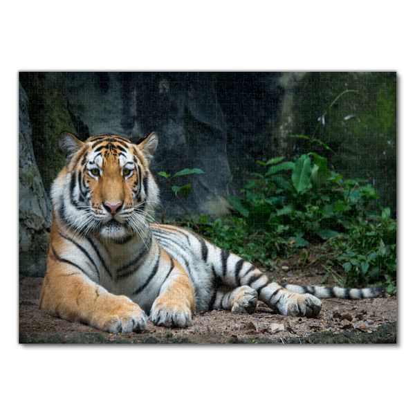 Produktbild: Lais Puzzle Tiger 1000 Teile