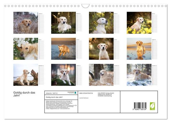 Produktbild: Goldig durch das Jahr! (Wandkalender 2026 DIN A3 quer), CALVENDO Monatskalender
