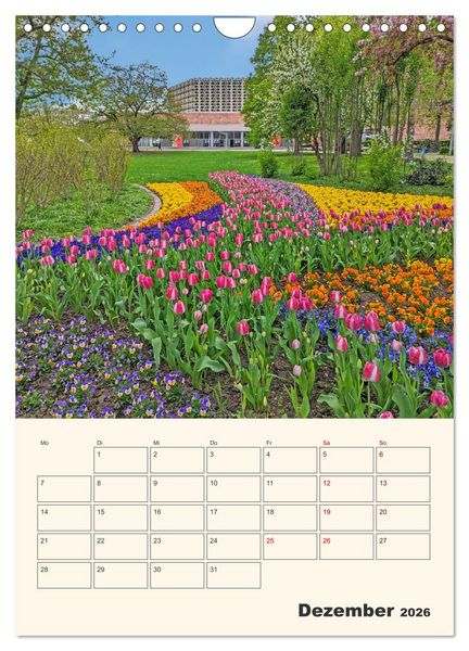 Produktbild: Chemnitz Kulturhauptstadt Terminplaner (Wandkalender 2026 DIN A4 hoch), CALVENDO Monatskalender