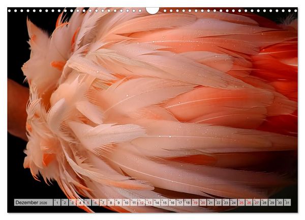 Produktbild: Flamingo Zauber (Wandkalender 2026 DIN A3 quer), CALVENDO Monatskalender
