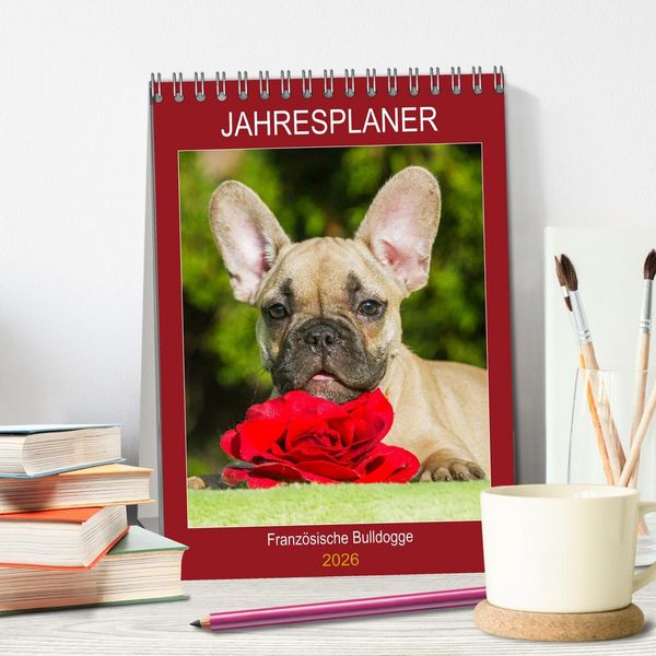 Produktbild: Jahresplaner Franz&ouml;sische Bulldogge (Tischkalender 2026 DIN A5 hoch), CALVENDO Monatskalender
