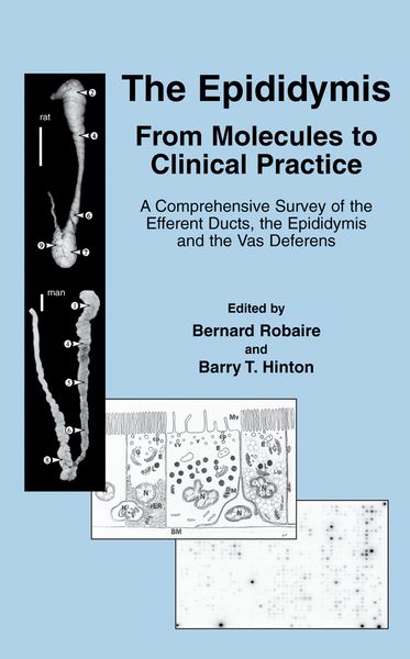 Produktbild: The Epididymis: From Molecules to Clinical Practice