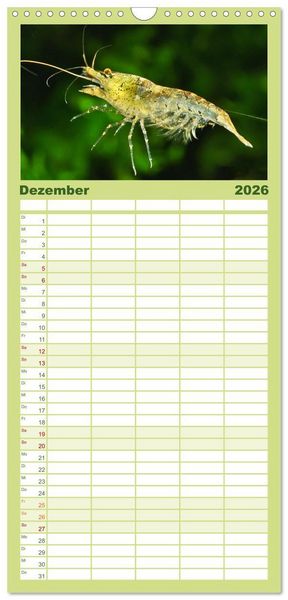 Produktbild: Familienplaner 2026 - Dwarf Shrimps mit 5 Spalten (Wandkalender, 21 x 45 cm) CALVENDO