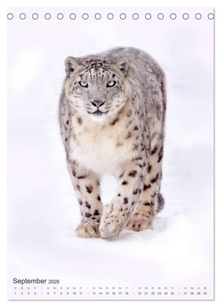Produktbild: Tiere in Wei&szlig; (Tischkalender 2026 DIN A5 hoch), CALVENDO Monatskalender