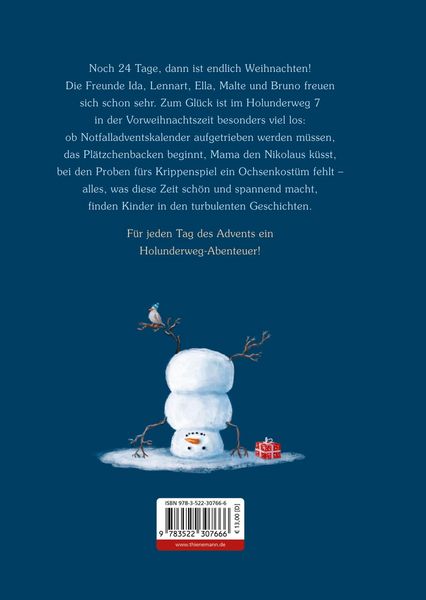 Produktbild: Weihnachten im Holunderweg