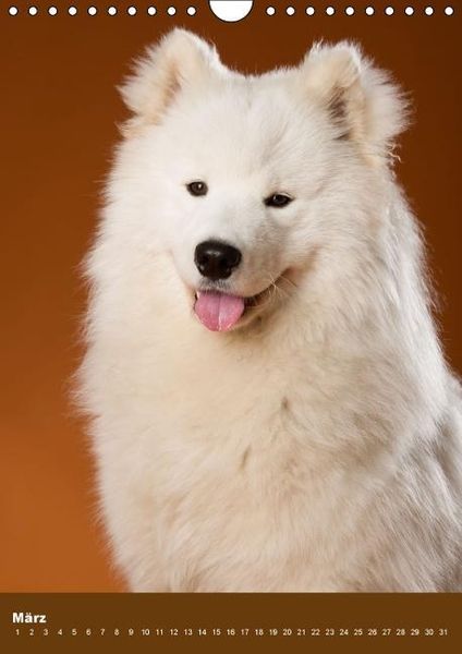 Produktbild: Hundekalender - Nordische Sch&ouml;nheiten (Wandkalender immerw&auml;hrend DIN A4 hoch)
