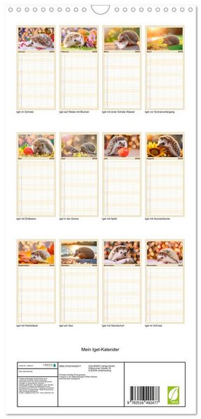 Produktbild: Familienplaner 2026 - Mein Igel-Kalender mit 5 Spalten (Wandkalender, 21 x 45 cm) CALVENDO