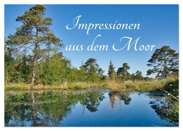 Produktbild: Impressionen aus dem Moor (Wandkalender 2026 DIN A3 quer), CALVENDO Monatskalender