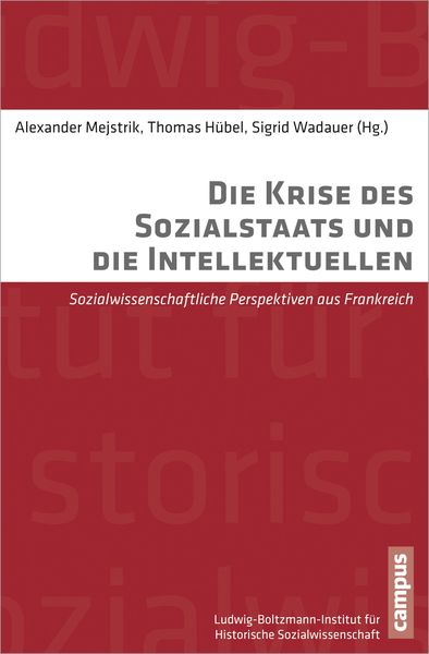 Produktbild: Die Krise des Sozialstaats und die Intellektuellen