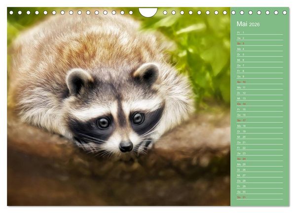 Produktbild: S&uuml;sse Tierwelt / CH-Version / Geburtstagskalender (Wandkalender 2026 DIN A4 quer), CALVENDO Monatskalender