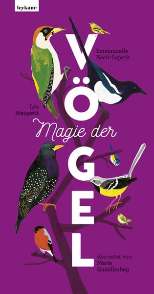 Produktbild: Magie der V&ouml;gel