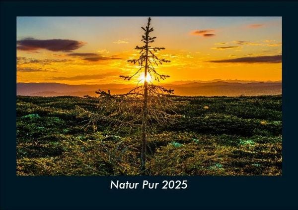Produktbild: Natur Pur 2025 Fotokalender DIN A5