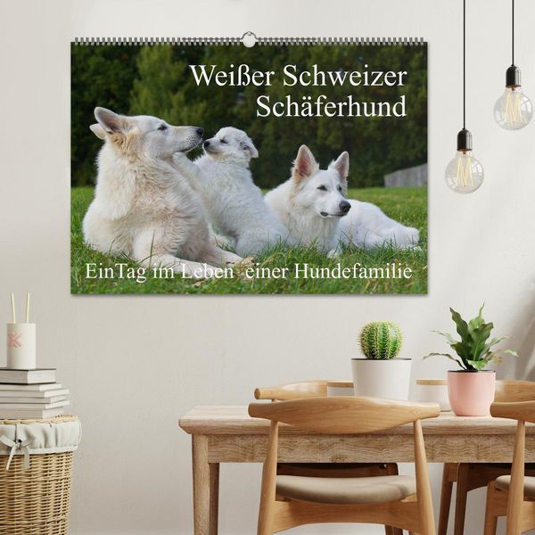 Produktbild: Wei&szlig;er Schweizer Sch&auml;ferhund - Ein Tag im Leben einer Hundefamilie (Wandkalender 2026 DIN A2 quer), CALVENDO Monatskalender