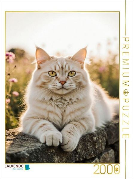 CALVENDO Puzzle Die Maine Coon Katze liegt entspannt auf einer Mauer und genießt das warme Sonnenlicht. | 2000 Teile Lege-Größe 90x67cm Foto-Puzzle für glückliche Stunden