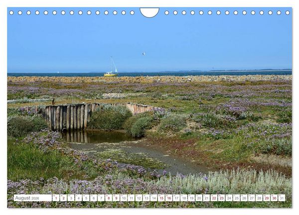 Produktbild: Sommertage auf Langeness (Wandkalender 2026 DIN A4 quer), CALVENDO Monatskalender