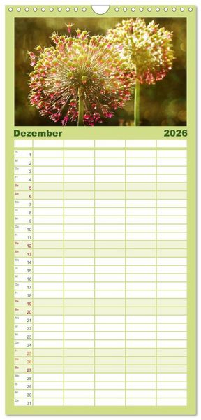 Produktbild: Familienplaner 2026 - 12 Farben Kunst und K&uuml;che mit 5 Spalten (Wandkalender, 21 x 45 cm) CALVENDO