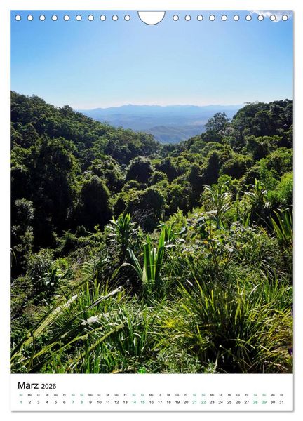 Produktbild: Regenwald - Australien (Wandkalender 2026 DIN A4 hoch), CALVENDO Monatskalender