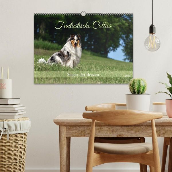 Produktbild: Fantastische Collies - Sieger der Herzen (Wandkalender 2026 DIN A3 quer), CALVENDO Monatskalender