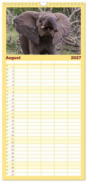 Produktbild: Familienplaner 2027 - Afrikas Tierwelt: Elefantenbabys mit 5 Spalten (Wandkalender, 21 x 45 cm) CALVENDO