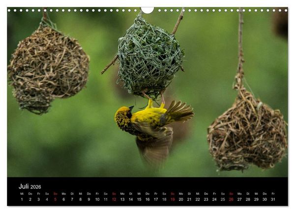 Produktbild: S&uuml;dafrika (Wandkalender 2026 DIN A3 quer), CALVENDO Monatskalender