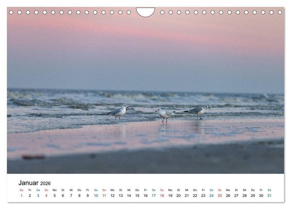 Produktbild: Lichtstimmungen in Sankt Peter-Ording (Wandkalender 2026 DIN A4 quer), CALVENDO Monatskalender